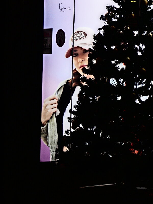 Рождество в Штутгарте - 6 - Алексей Кузнецов