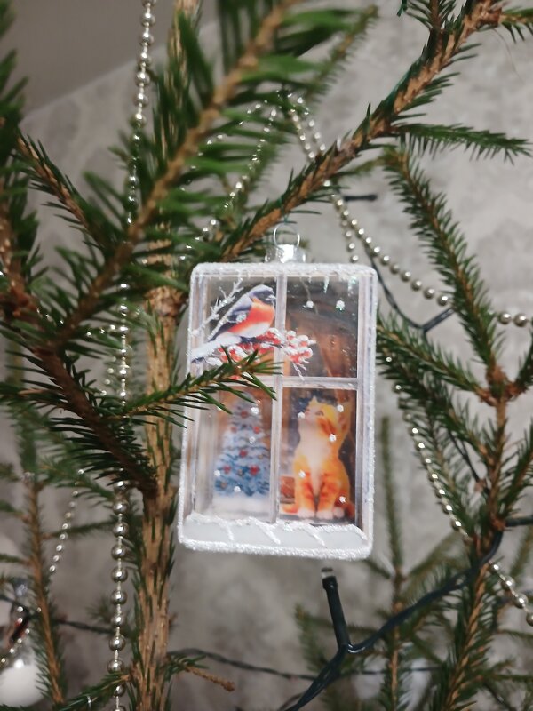 "окошко" - BoxerMak Mak