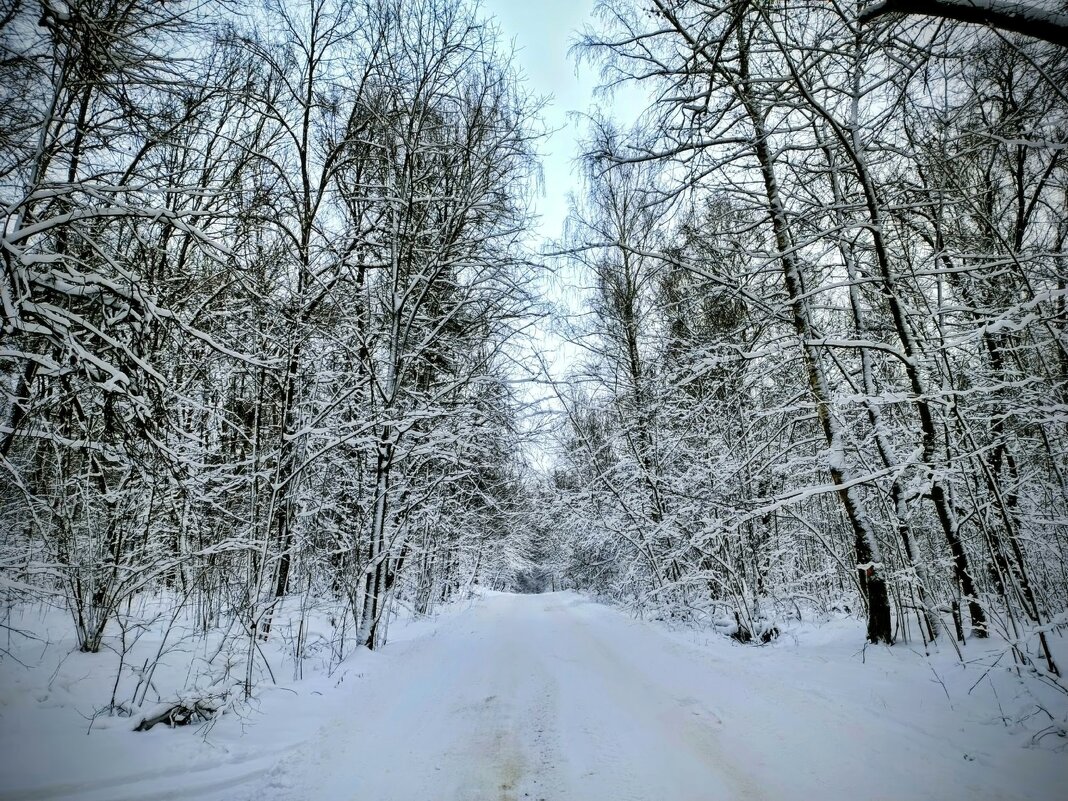 В декабре пред Новогодняя фото сессия на природе. - Михаил Столяров