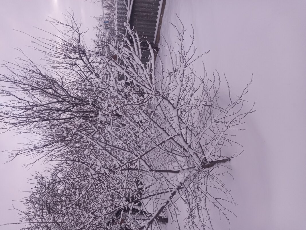 Зимняя сказка - Алексей Т