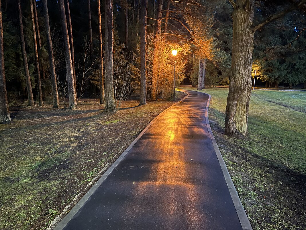 Фонарь светит зря - Серж Show