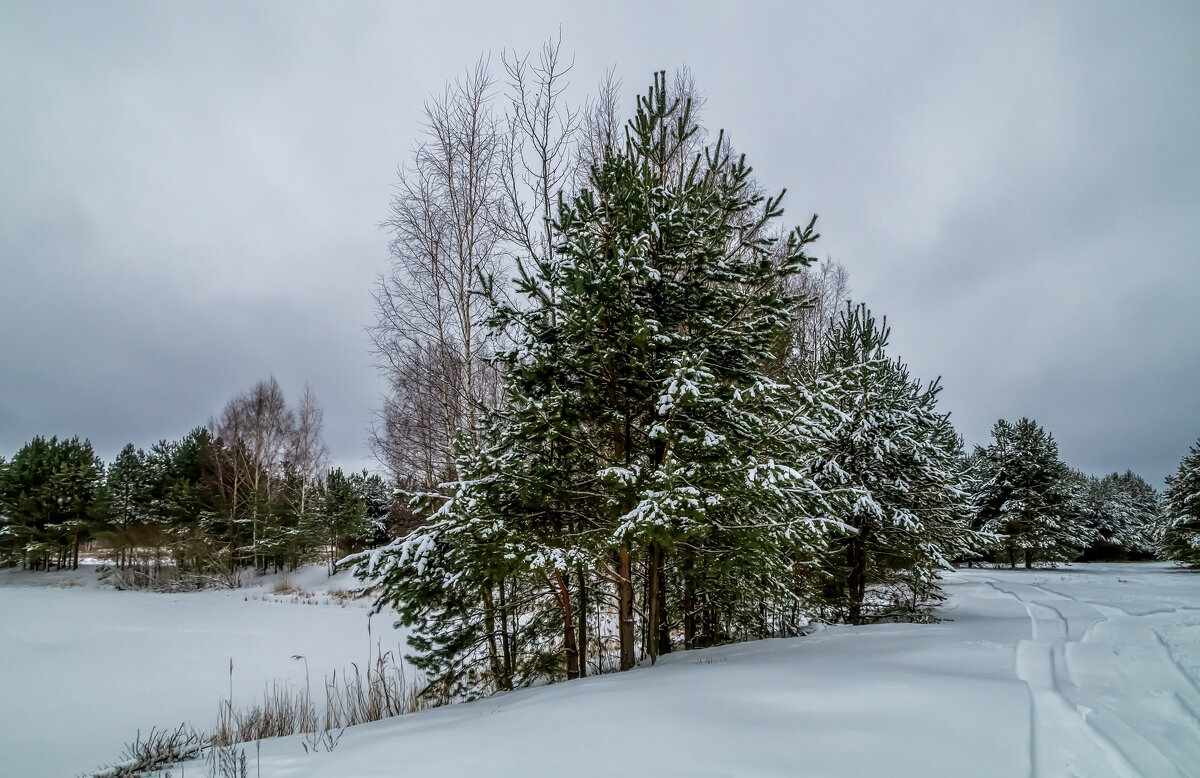 Зимние утро 4 - Андрей Дворников
