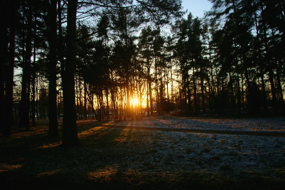 Зима 2025. Декабрь - Наталья Герасимова Зима 2025. Декабрь - Наталья Герасимова