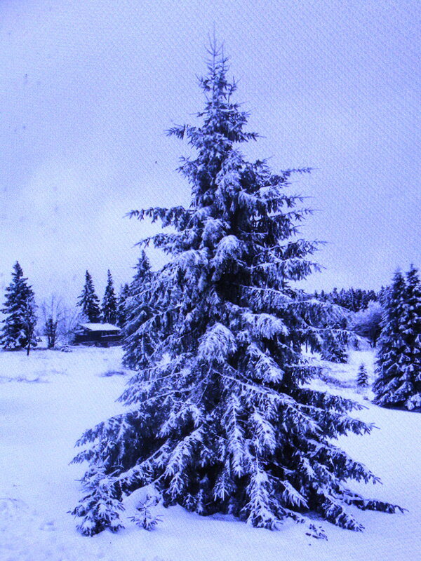 Красавица - Людмила Смородинская Красавица - Людмила Смородинская