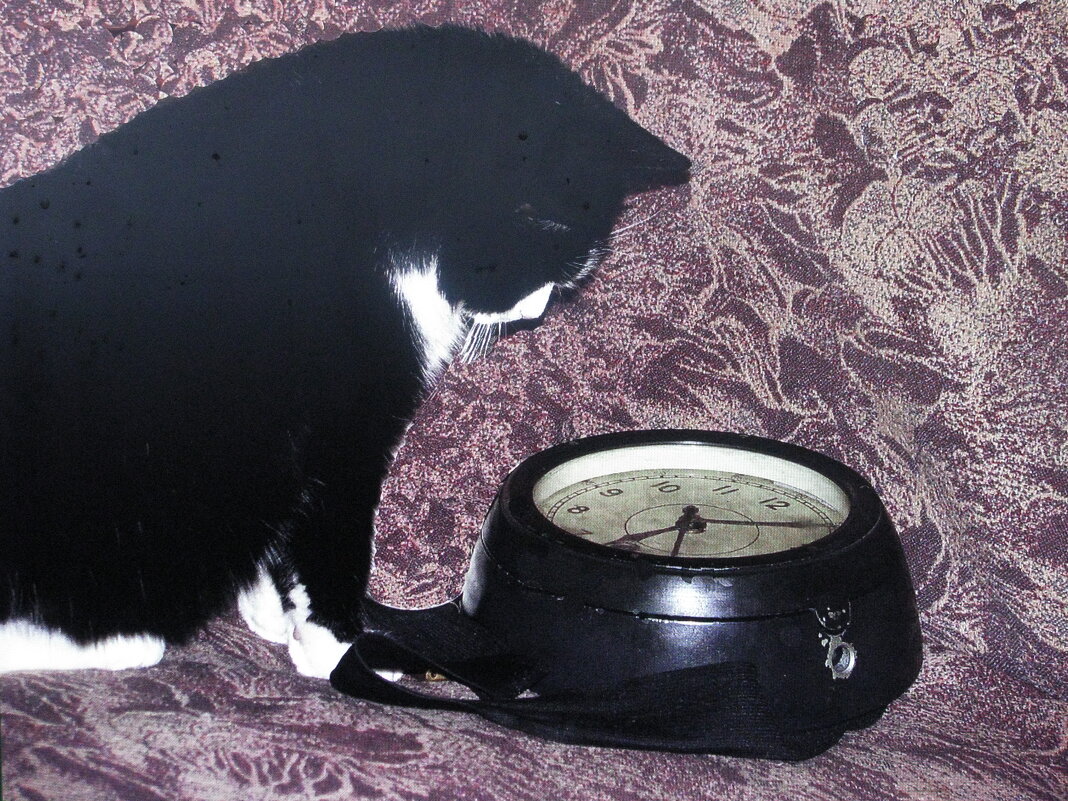 И когда же Новый год наступит? - Людмила Смородинская