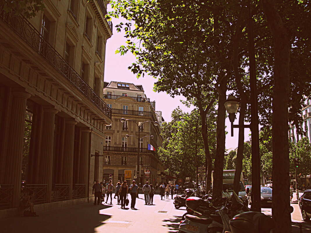 Париж с автобуса. - Владимир Драгунский