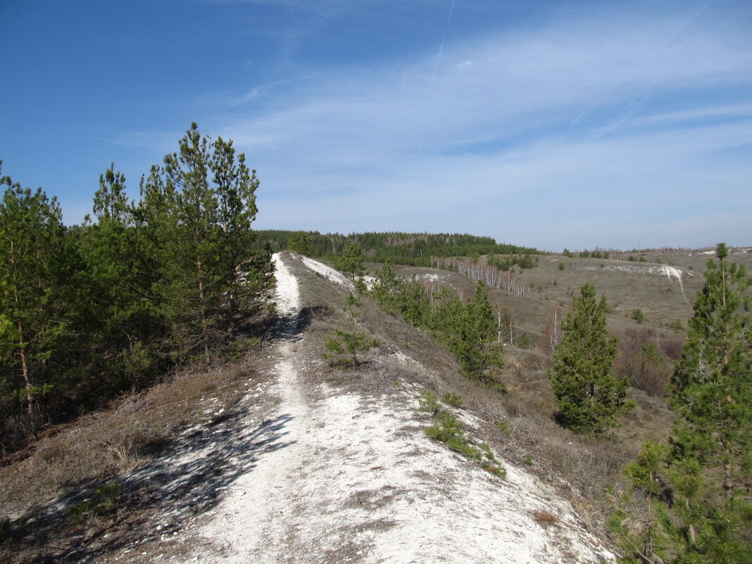 Хвалынские просторы - Елена Шаламова