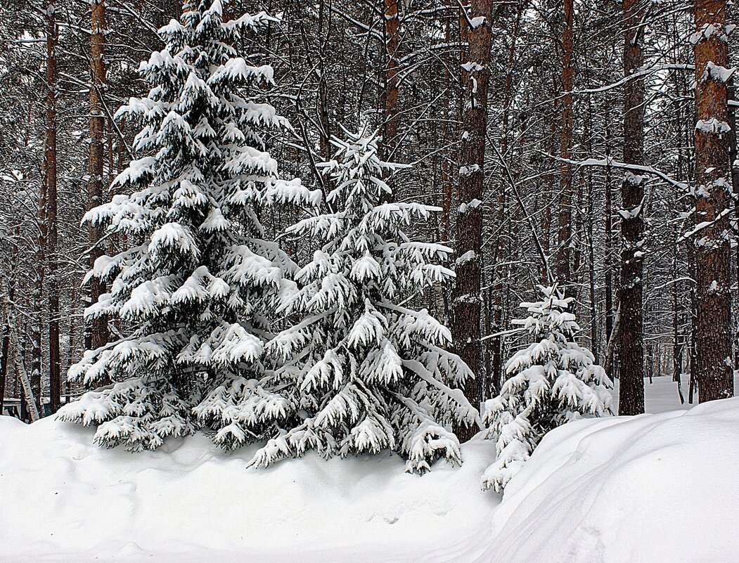 В ожидании праздника - Галина Нестратова