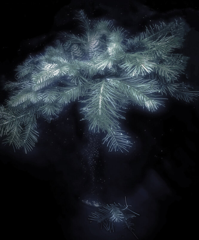 С наступающим! - Владимир Владимир