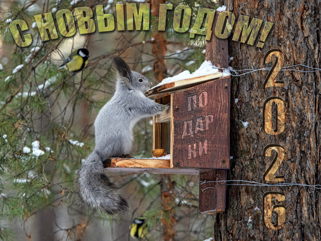 С новым Годом! - Barguzin_45 Иваныч