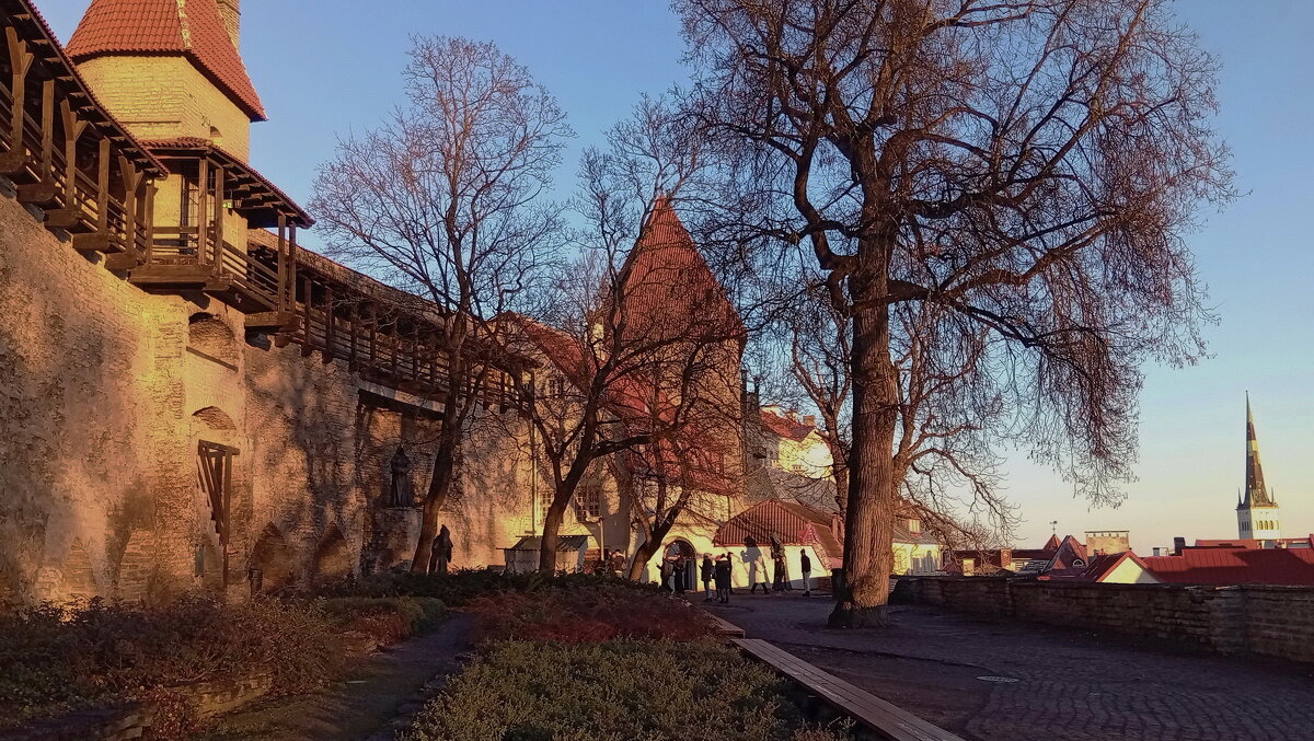 "Дворик датского короля" - Татьян@ Ивановна