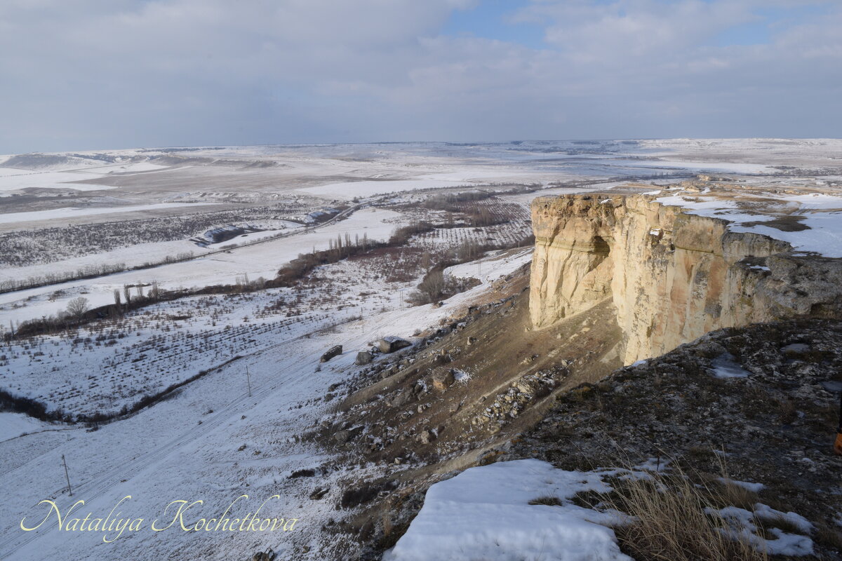 Природа Крыма - Amazing Cosmea