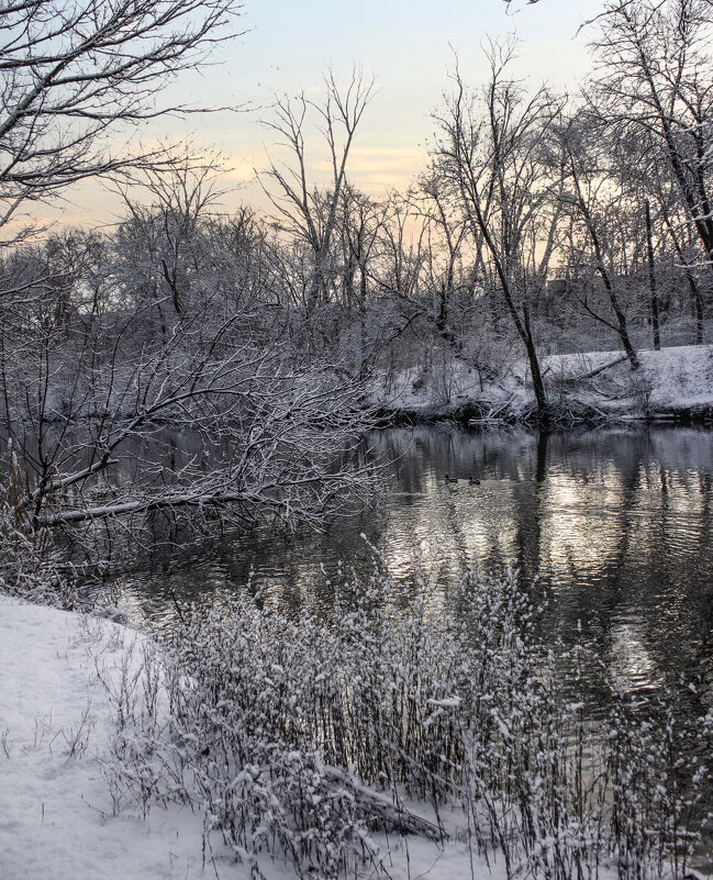 Pbvf/ - Александр. AVG100 ---