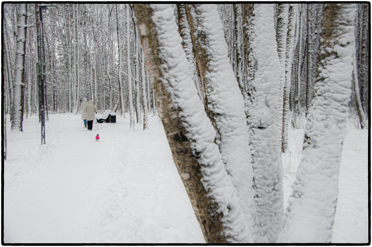 Всех с Наступающим Новым Годом! - Юрий Яньков