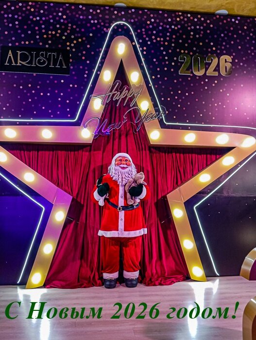 С Новым 2026 годом! - Светлана SvetNika17