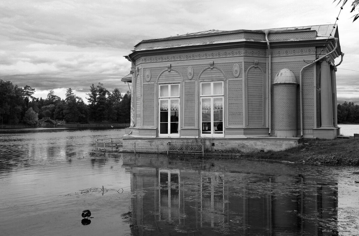 В Гатчинском парке - Наталья В Гатчинском парке - Наталья