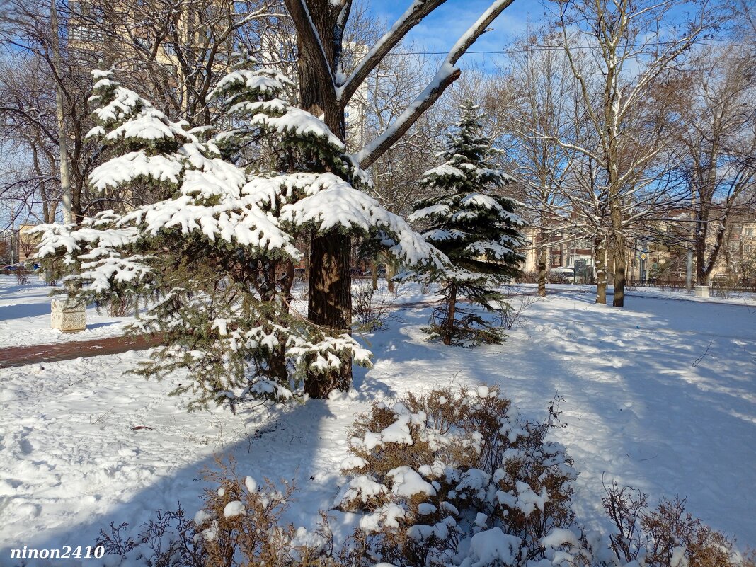 Зимний парк - Нина Бутко