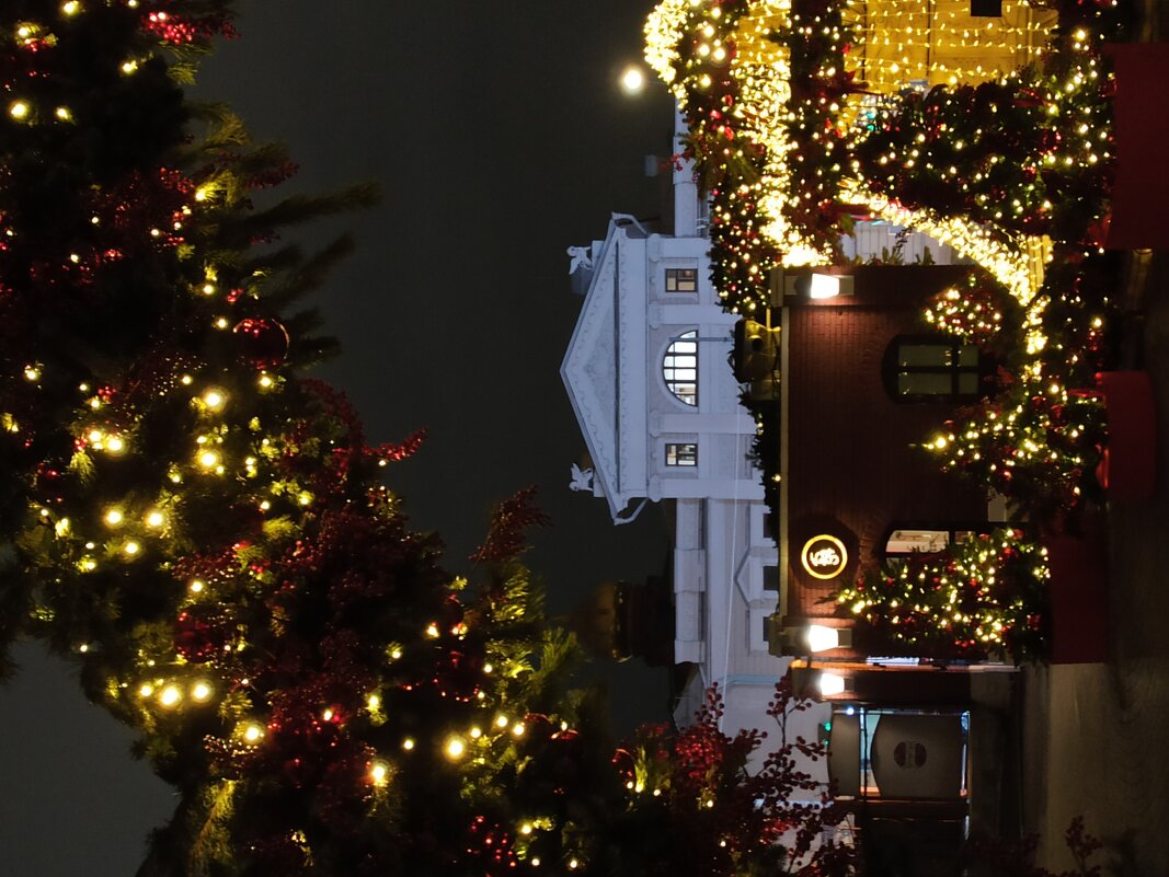 С наступающим Новым Годом! - Галина 