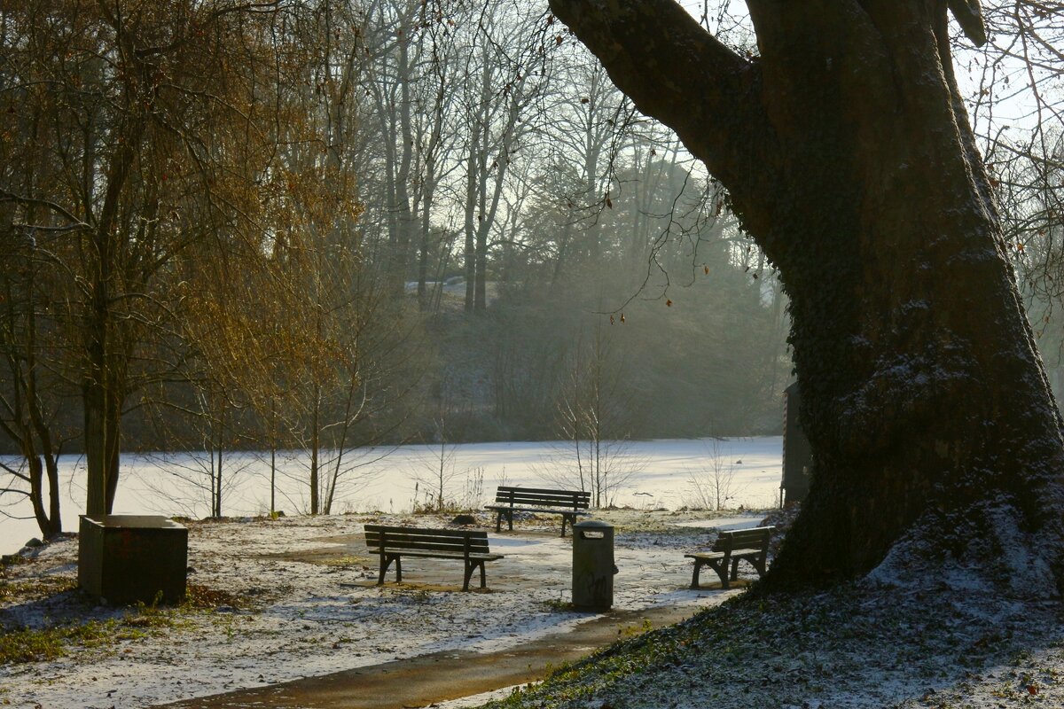 Зимнее утро - Юрий. Шмаков Зимнее утро - Юрий. Шмаков