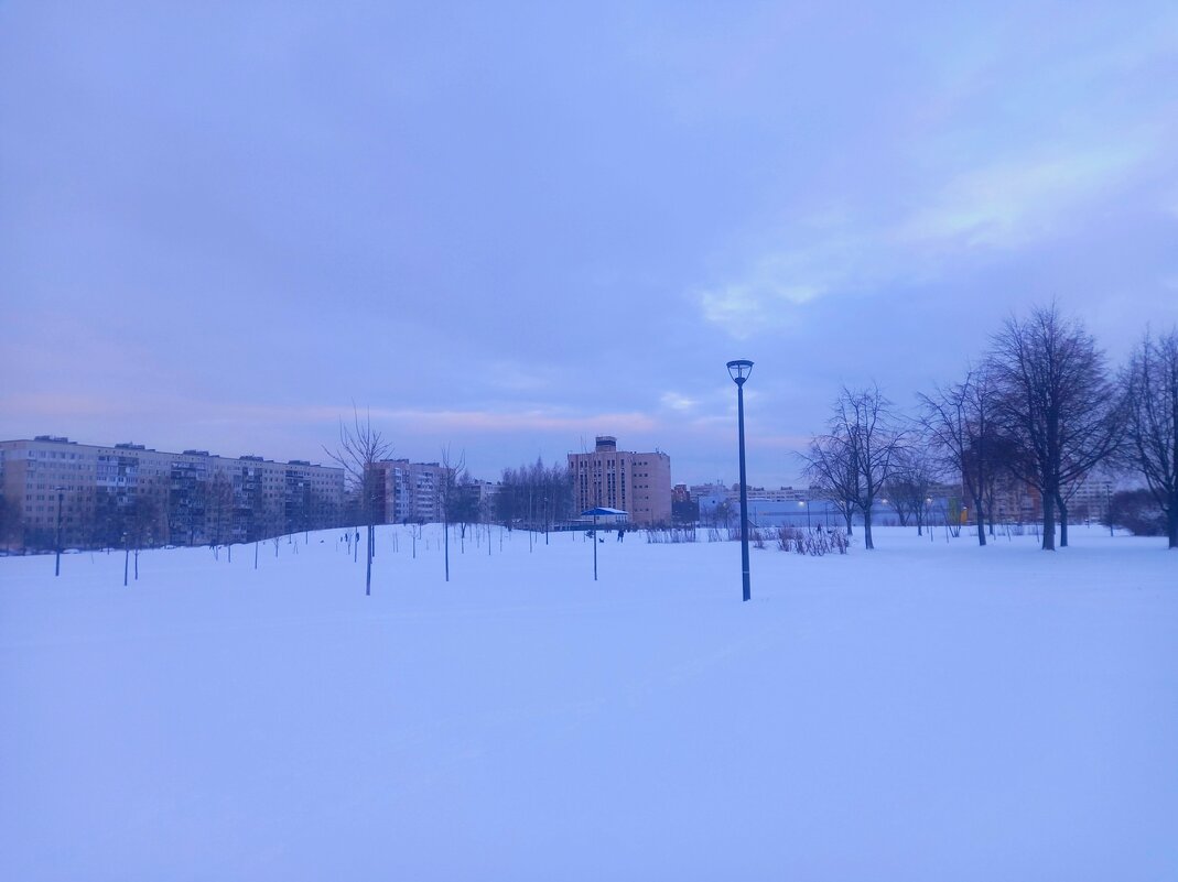 Рассвет - Сапсан 