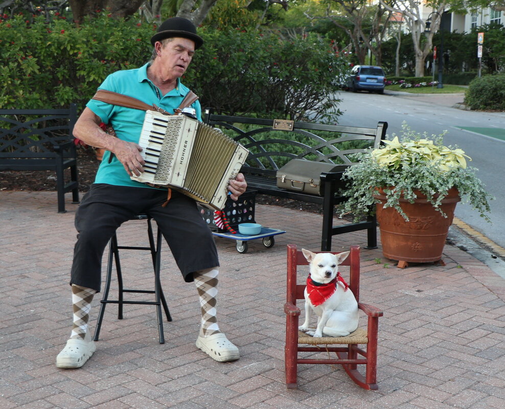 Спой, Ласточка, спой - Yury 