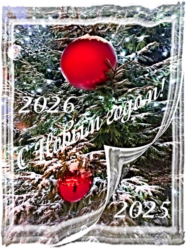 С наступившим Новым 2026 годом! - Veera V