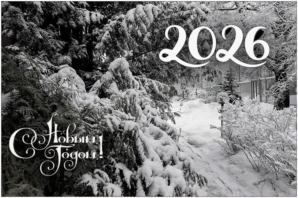 С Новым 2026-м! - Людмила Фил