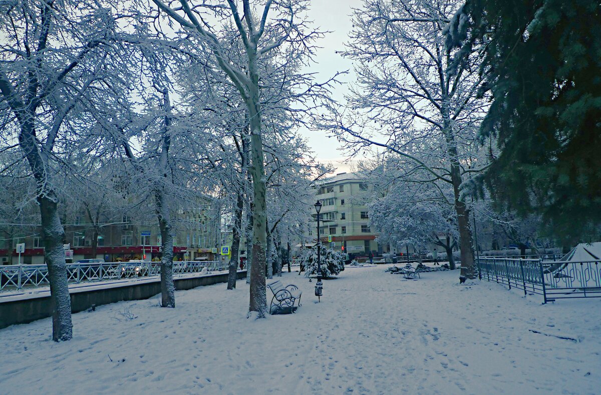 Парк  Тренёва - Валентин Семчишин