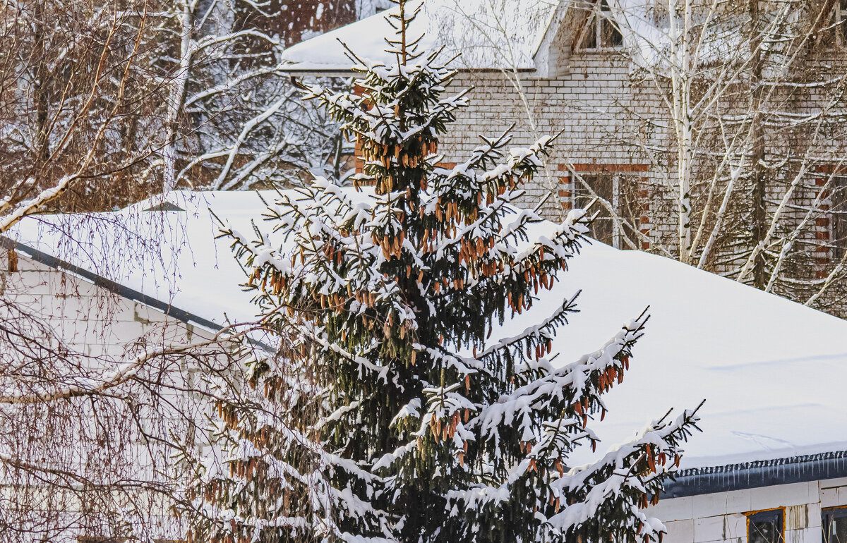 С Новым годом друзья! - Петр Беляков