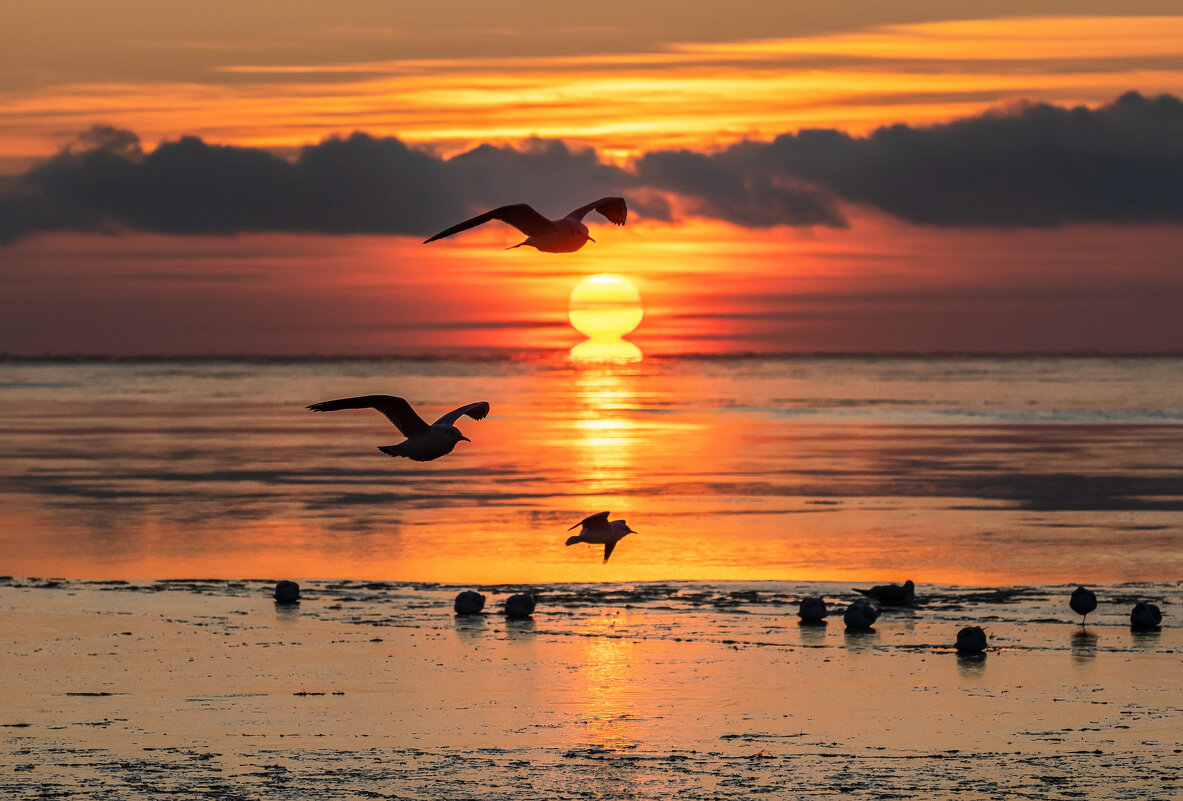 Первый рассвет 2026 года - Ирина 