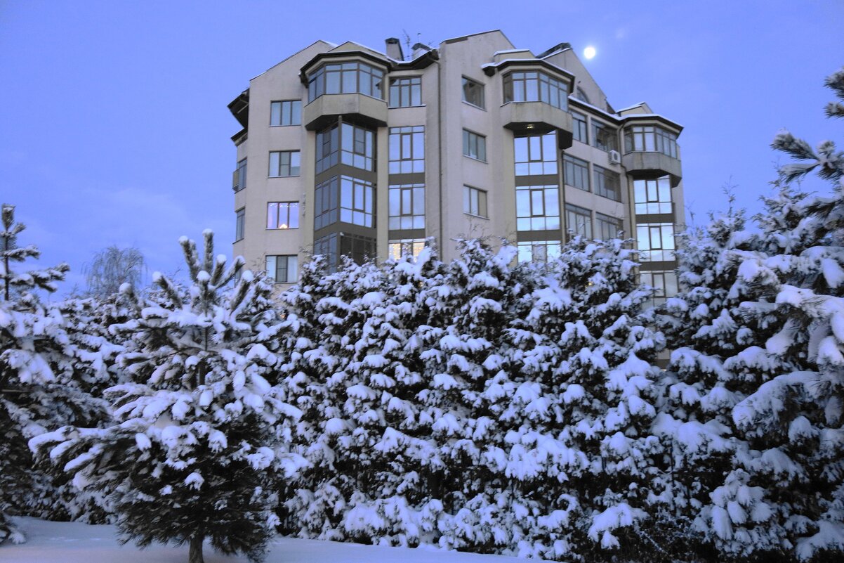 Калининград предновогодний - Рита Симонова