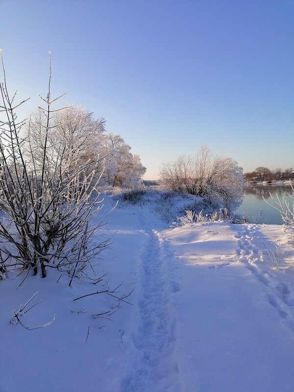 **** - Зоя Мишина