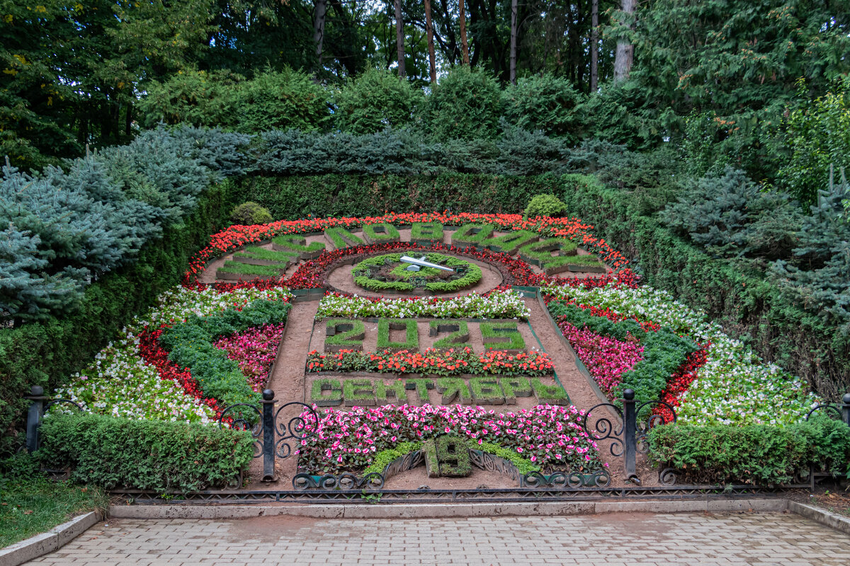 цветочные часы - navalon M