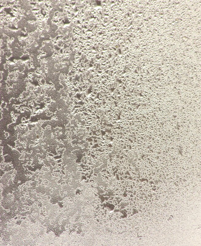 "Старая яблоня"... ледяная... - Юрий Куликов