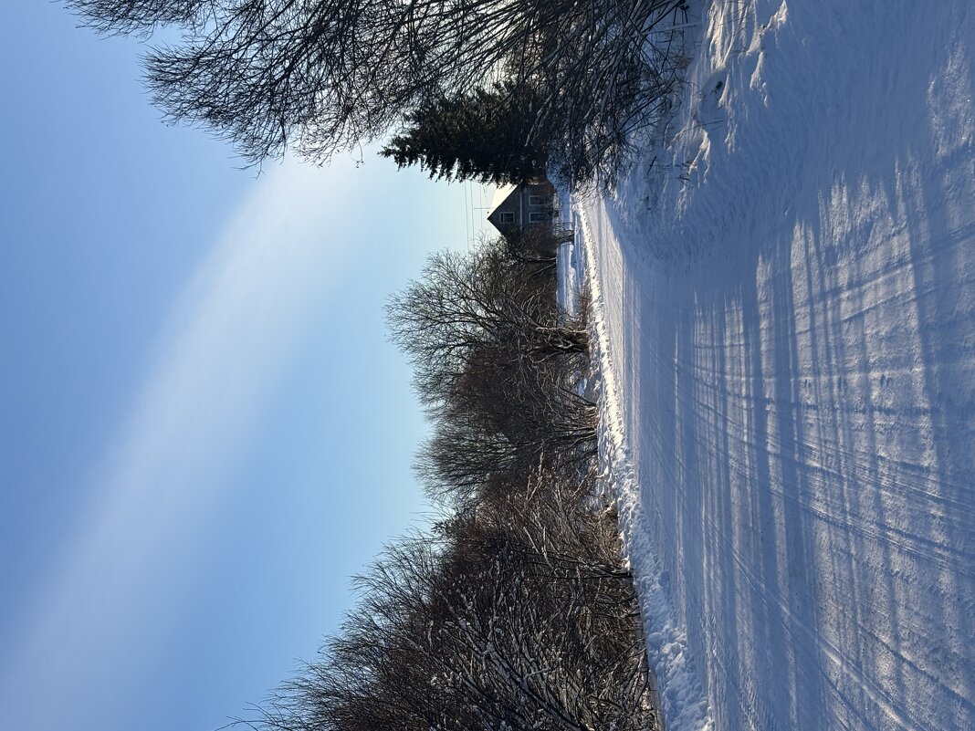 Зимняя дорога - Ольга Савельева 