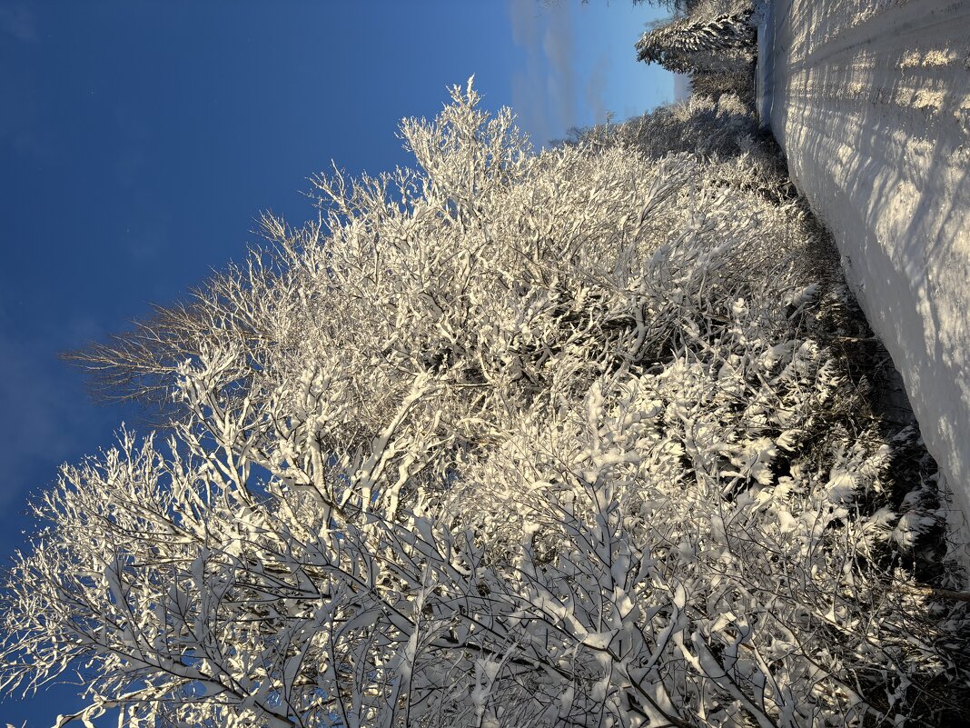 Зима - Ольга Савельева 