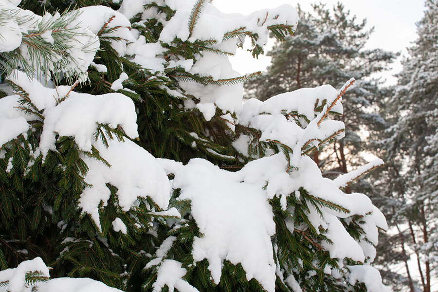 С новым годом, друзья!! - Ольга Бекетова