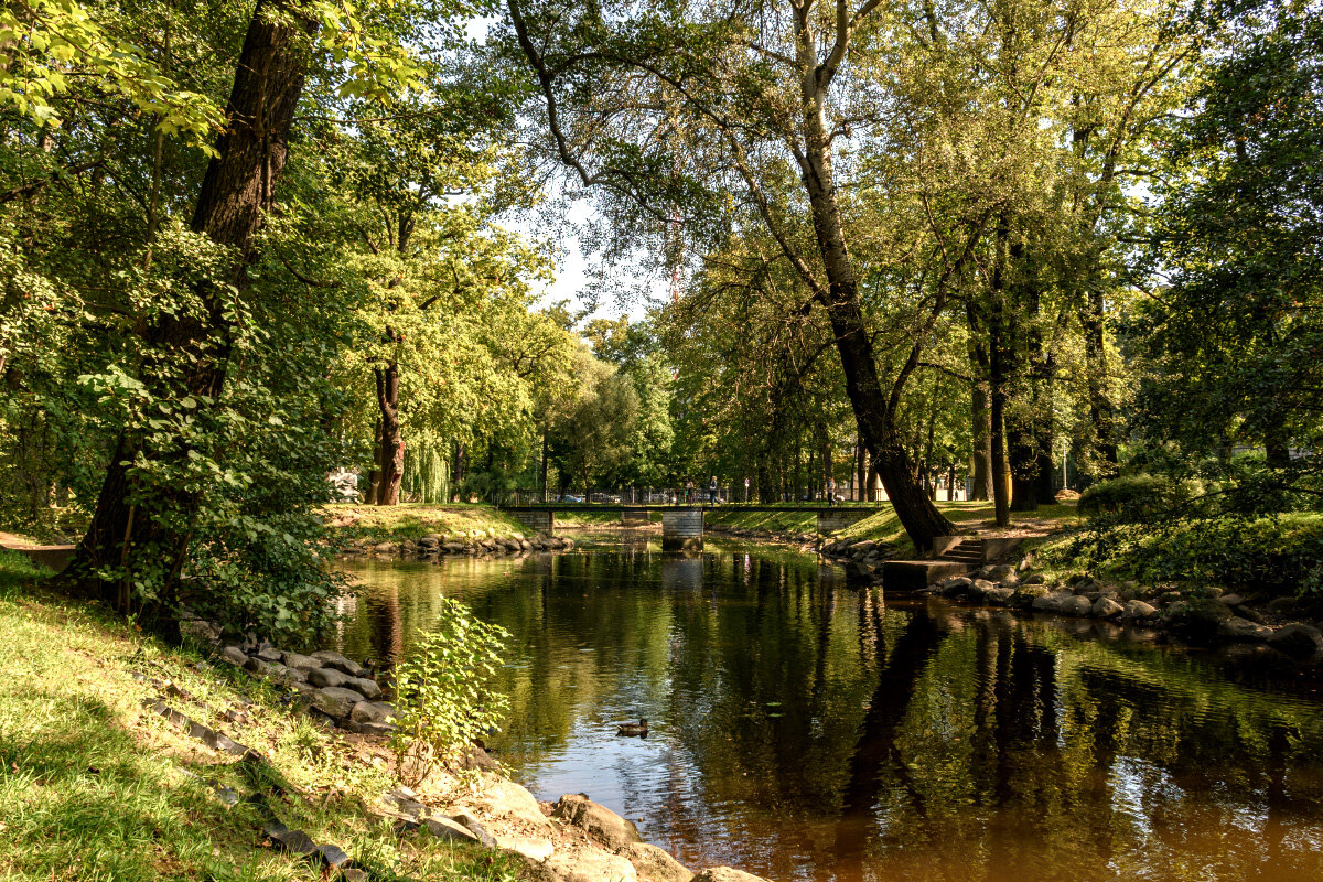 Лопухинский сад - Александр Тихомиров Лопухинский сад - Александр Тихомиров
