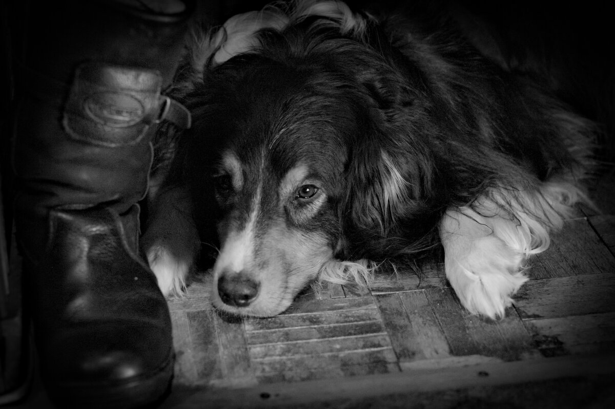 Задумался - Артём 