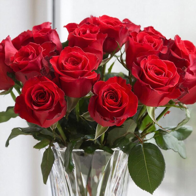 РОЗЫ - СЕРГЕЙ ФИЛОЧКИН