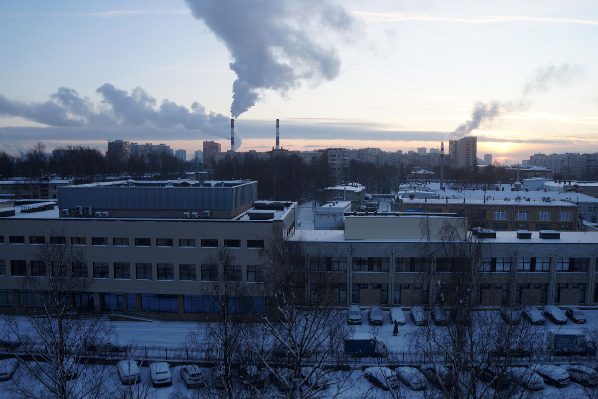 первый день Нового года - zavitok *