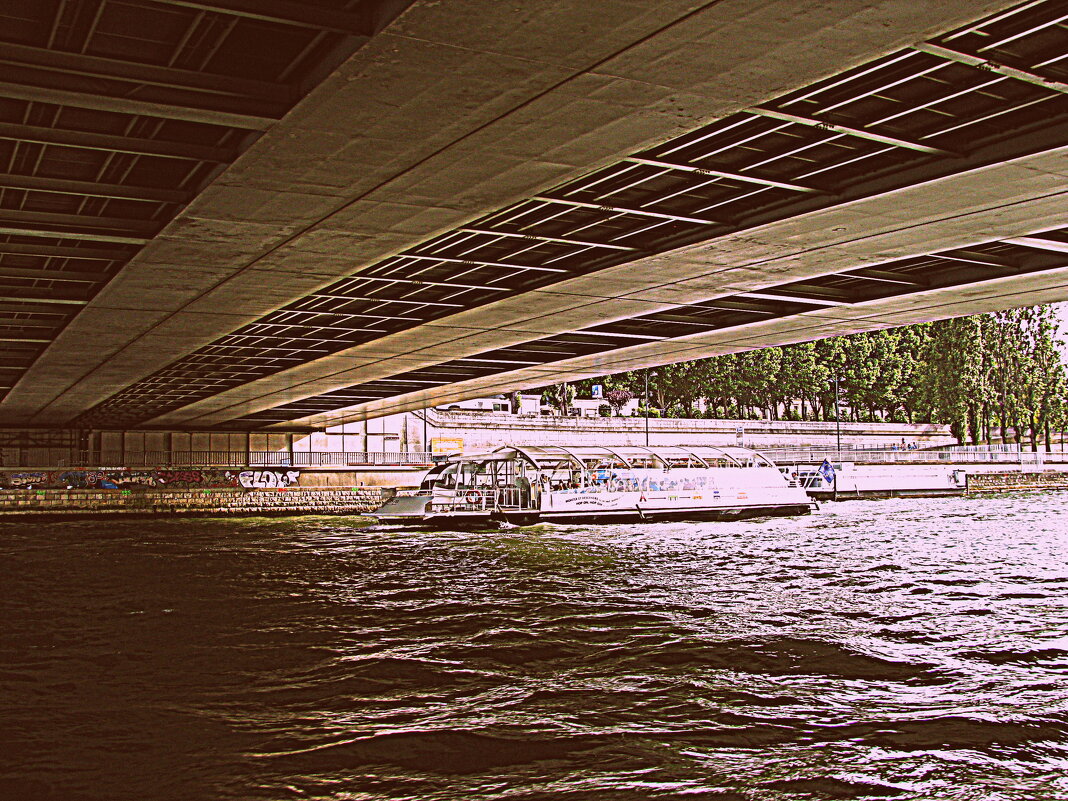 Париж с катера. - Владимир Драгунский Париж с катера. - Владимир Драгунский