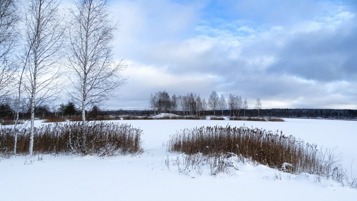 Последние дни уходящего года. - Милешкин Владимир Алексеевич Последние дни уходящего года. - Милешкин Владимир Алексеевич