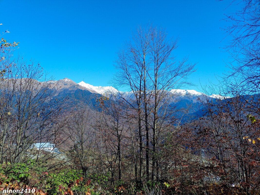 Адлер... горы... Роза Хутор... - Нина Бутко Адлер... горы... Роза Хутор... - Нина Бутко