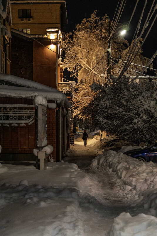 В Новогоднюю ночь прогулка по Армавиру - Игорь Сикорский В Новогоднюю ночь прогулка по Армавиру - Игорь Сикорский