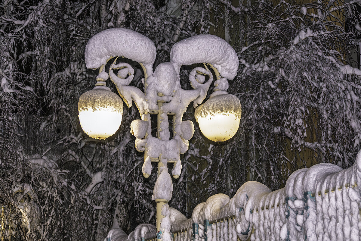 В Новогоднюю ночь прогулка по Армавиру - Игорь Сикорский В Новогоднюю ночь прогулка по Армавиру - Игорь Сикорский