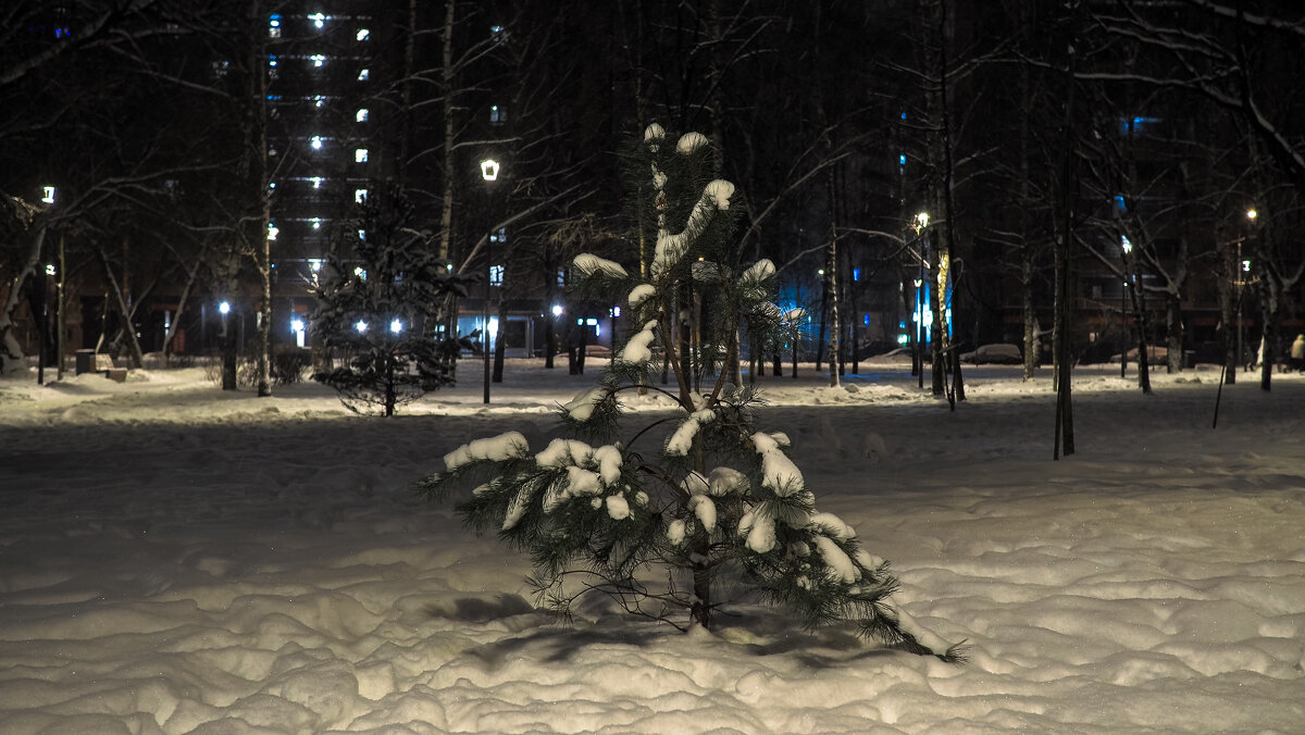 ***** - юрий поляков