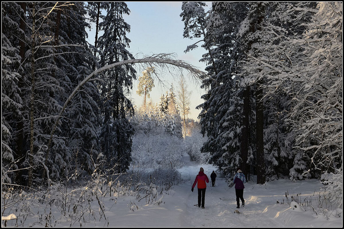 Зимняя радость - Aleksandr Gal