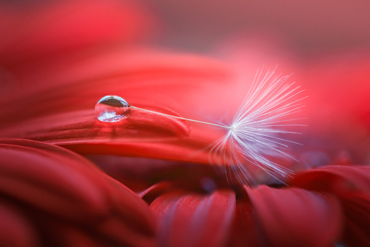 Просто так - Игорь Шевченко