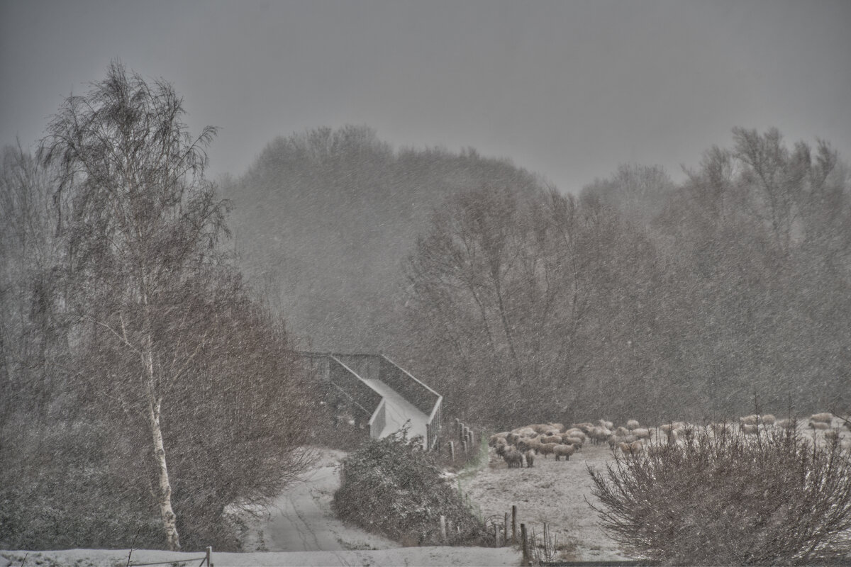 2.01.2026 ... - Jakob Dick 2.01.2026 ... - Jakob Dick